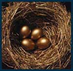 Like geese that lay golden eggs, we create foundations that benefit society in perpetuity